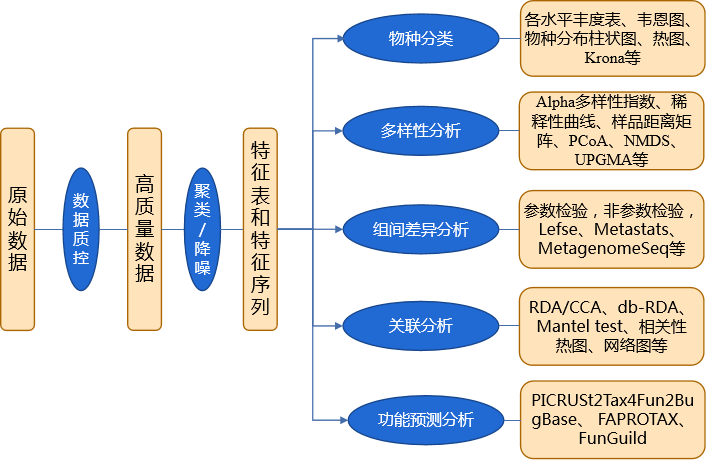 _16408611453858 _16408611453858