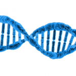 【案例解讀】蛋白組學(xué)iTRAQ和label-free的技術(shù)應(yīng)用