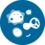 微生物多樣性分析平臺