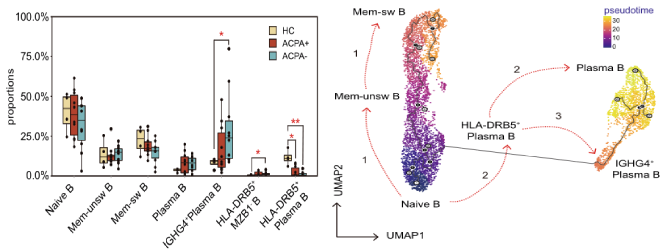 類風(fēng)濕關(guān)節(jié)炎患者外周血B細(xì)胞分析