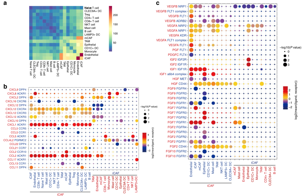 圖3?利用CellPhoneDB分析膀胱癌不同細(xì)胞類型間配體-受體相互作用[6]