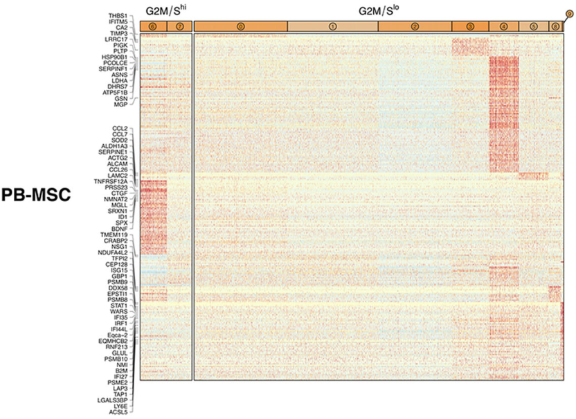圖5從3個供體匹配組織來源分離的馬間充質(zhì)基質(zhì)細胞(MSCs)表現(xiàn)出源內(nèi)轉(zhuǎn)錄異質(zhì)性