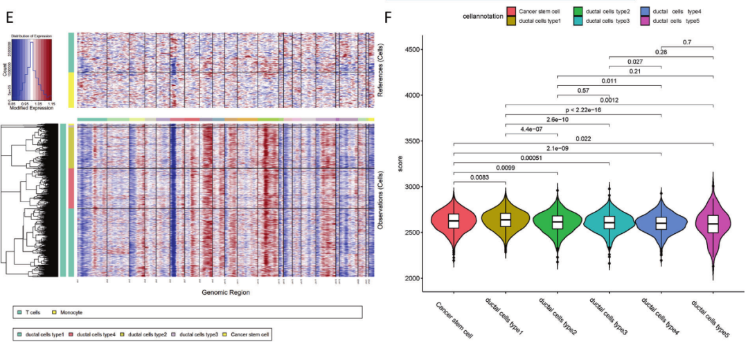 圖6?利用inferCNV揭示胰腺導(dǎo)管腺癌惡性細(xì)胞類型[11]