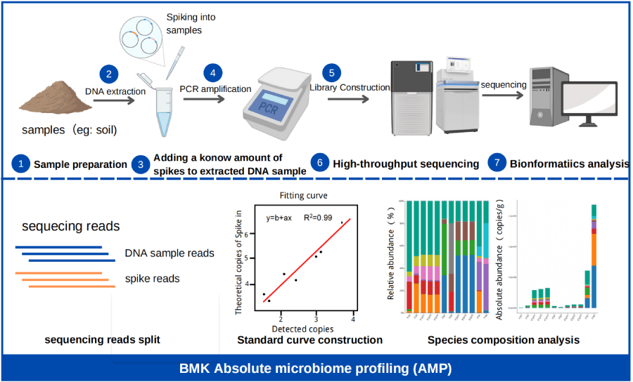 百邁客微生物絕對定量技術(shù)路線 百邁客微生物絕對定量技術(shù)路線