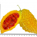 年度盤點(diǎn)|2022年百邁客基因組再創(chuàng)佳績！
