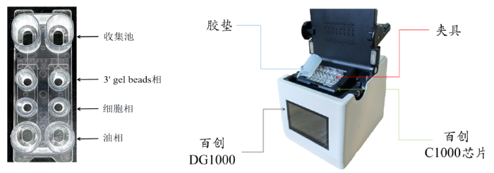 圖1：百創(chuàng)C1000芯片結(jié)構(gòu)（左圖）；百創(chuàng)DG1000微液滴生成儀（右圖）