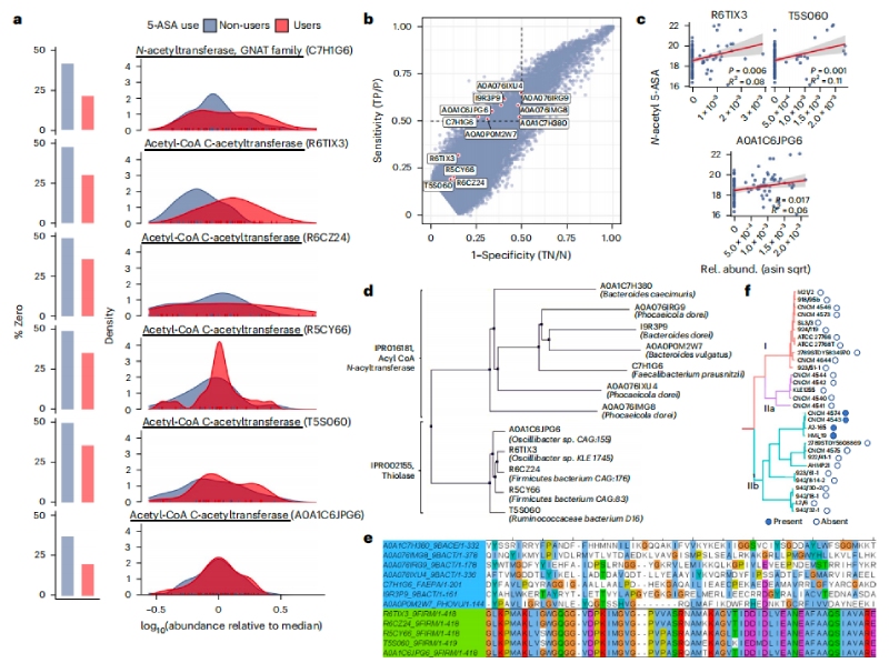 圖2N-乙酰5-ASA微生物酶包括硫代酶和?；o酶A N-乙酰轉(zhuǎn)移酶
