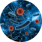 PCR產(chǎn)物測(cè)序