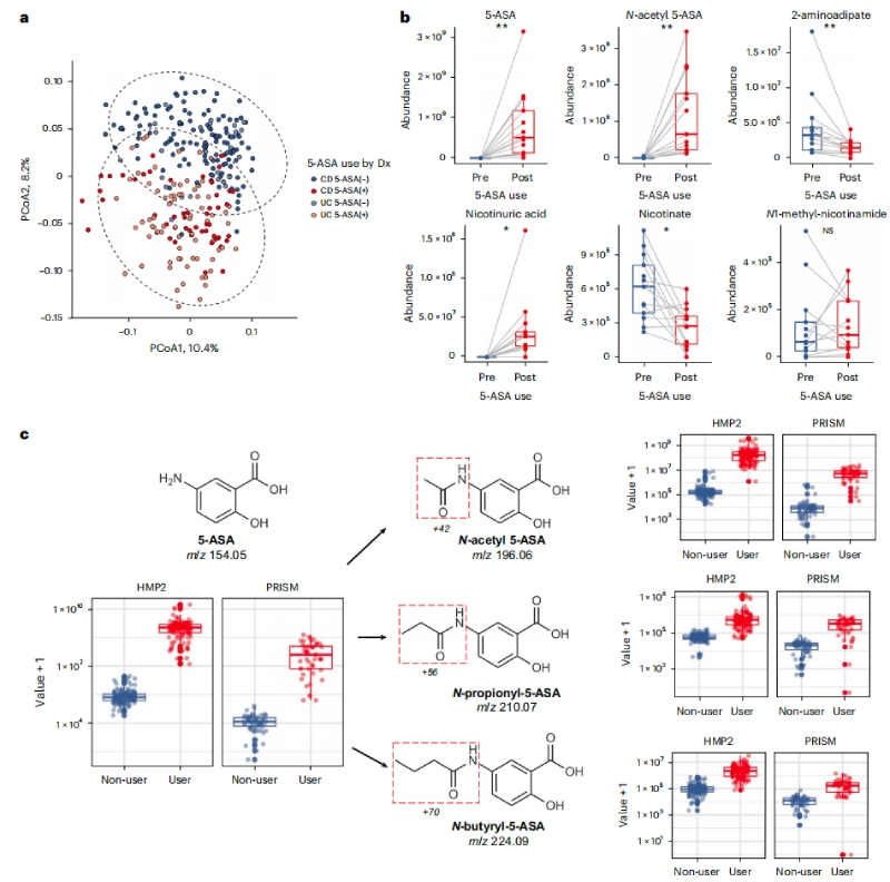 5-ASA可直接影響糞便代謝組，并通過微生物組進(jìn)行生物轉(zhuǎn)化