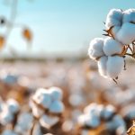 陸地棉進(jìn)化軌跡與重要性狀遺傳架構(gòu)被破解！《Nature Genetics》