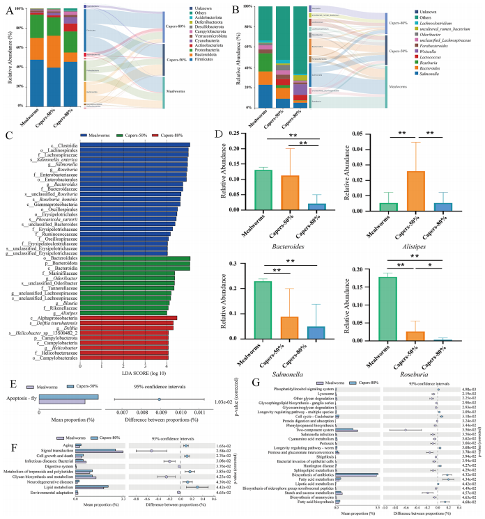 圖3 飼喂粉蟲或刺山柑基飼料的T. roborowskii腸道微生物群組成及代謝功能通路