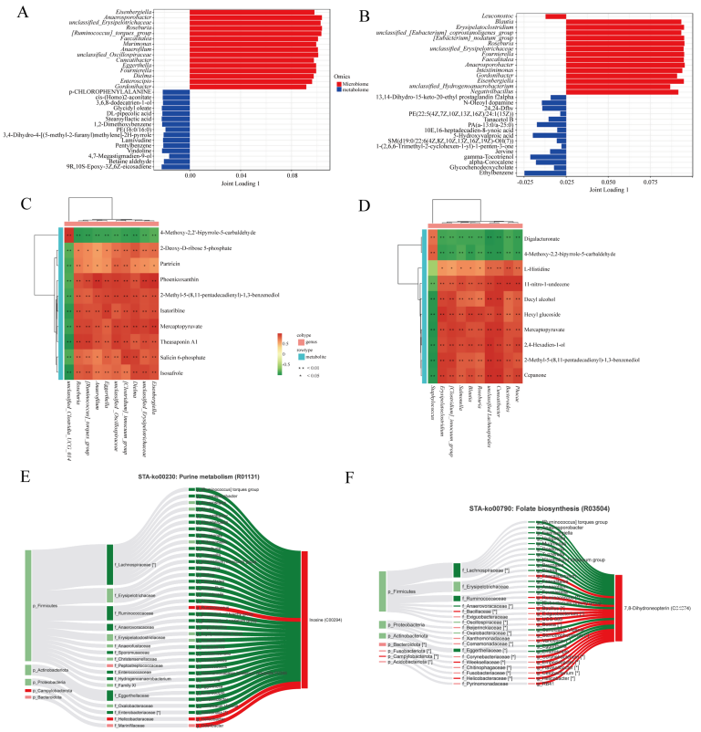 圖5 腸道菌群與代謝物的相關(guān)性分析