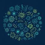 Nature Communications同款宏轉(zhuǎn)錄組技術(shù)詳解，原來(lái)高分研究這么做！